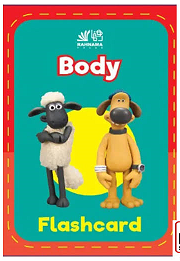 Flashcard Body